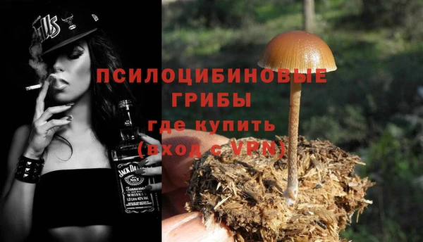 гашик Сафоново