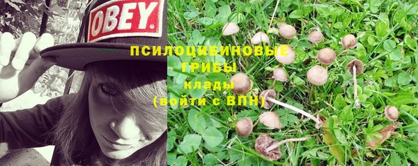 гашиш Рославль